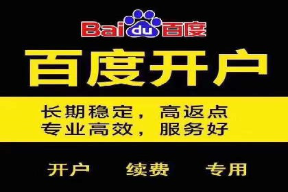 百度推广在电商领域的应用：成功提升销售额的秘诀